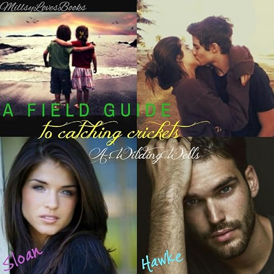  photo IMG_20160606_184716_453000_zpsqxw6i4iw.jpeg