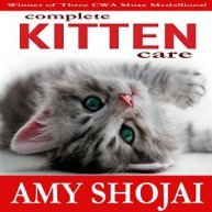 KittenAudio