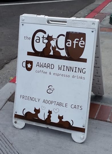 cat cafe