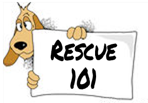 rescue101