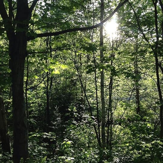 Sweet home nature #nofilterneeded #nofilters #laurentides
