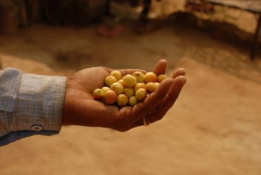 Exploring Food Security with Micro Earths expeditions