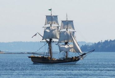 Beware of pirates in the neighborhood.