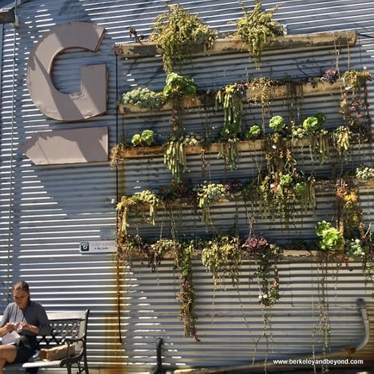 exterior of Lilla Bello floral gallery at Bergamot Station Arts Center in Santa Monica, California
