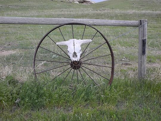 Colorado Cattle Company