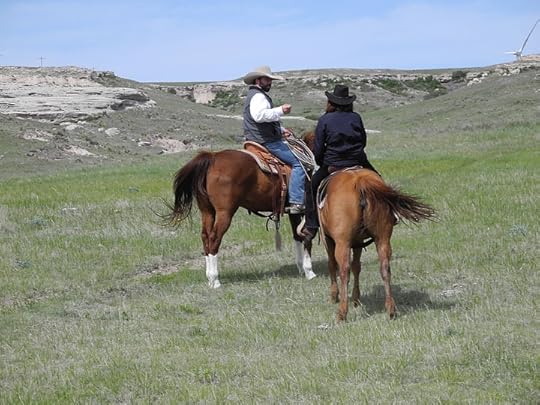 Colorado Cattle Company