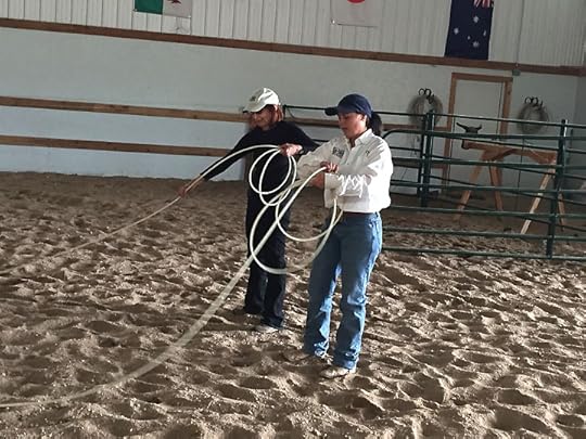 Colorado Cattle Company