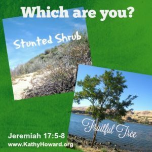 Jeremiah 17