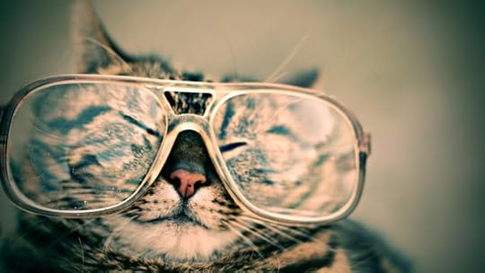 cat_in_glasses