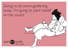 garden3
