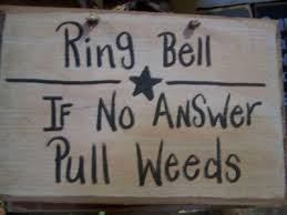 pull weeds