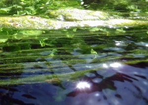 Stream