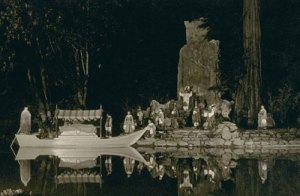 Image of Bohemian Grove 1