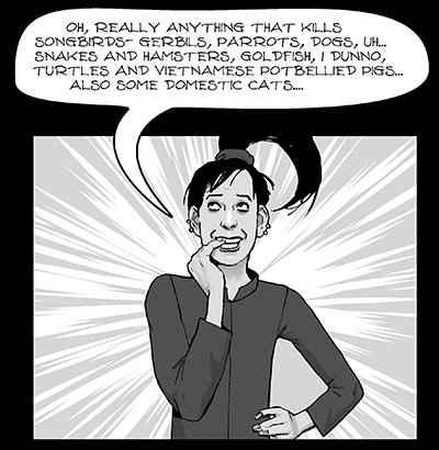 KibbleKitchengray03