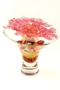 Pictured: The dessert made by the winner, Alice Peel. Mövenpick Ice Cream Gourmet Dessert Chef of the Year 2016