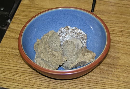 whale vomit