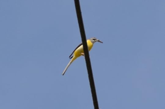 Mommy Returns with a Tasty Snack -- Kyoto, Japan -- Copyright 2016 Jeffrey Friedl, http://regex.info/blog/