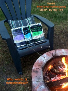 Campfire2