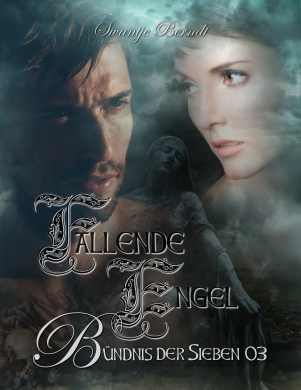 Cover Fallende Engel