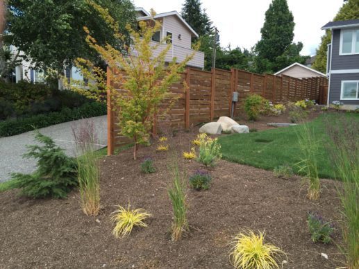 fence between houses