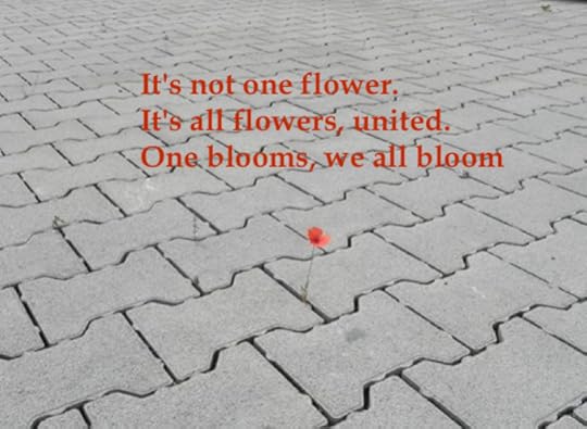 Photo: © H-Peter Clamann, 2016. All rights reserved. © Poem: Quinn McDonald, 2016. All rights reserved. 