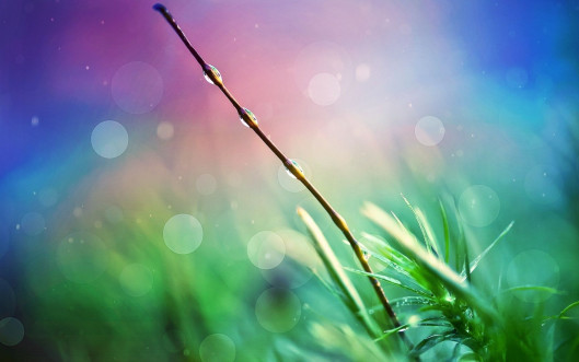 Drops of Truth