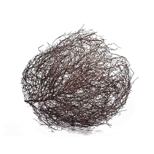 Sculpture by Bale Creek Allen