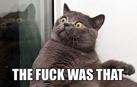 Confuse_Cat