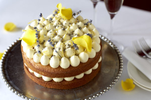 Elizabeth Sponge (Photo - Joe Sarah)