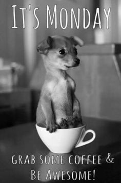 so cute, my teeth hurts.