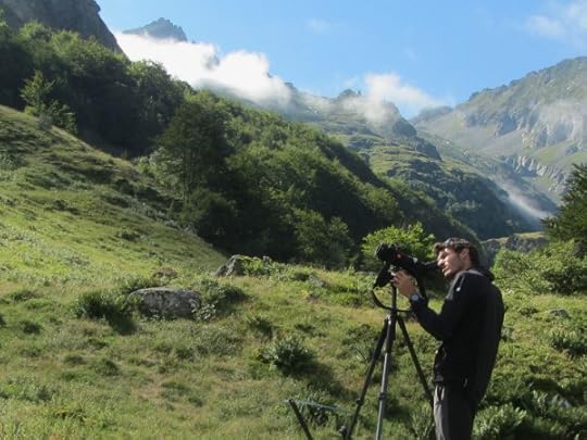 Looking for ibex in the Pyrenees