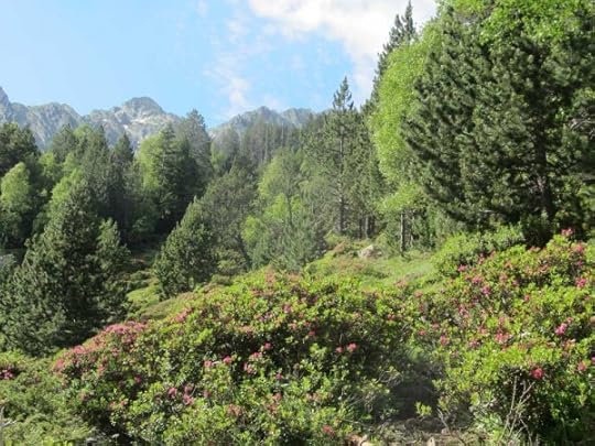 Vall Ferera, between Àreu and Baiau on the Senda, part of the Parc Natural de l’Alt Pirineu