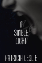 ASingleLight_hi-res_2x3in