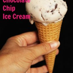 Strawberry Chocolate Chip Ice Cream Good Cheap Eats PIN
