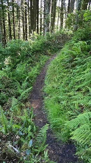 IMG_20160612_110927911[1]