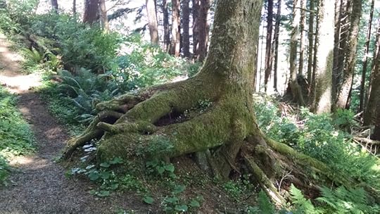 IMG_20160612_111556422[1]