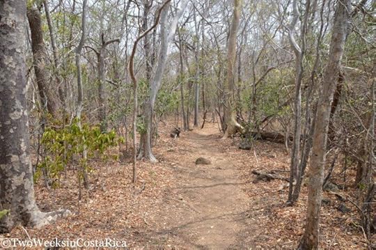 Santa Rosa National Park - History and Hiking in Guanacaste