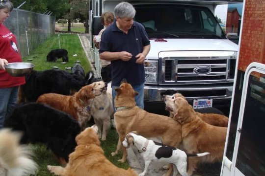  photo crazyman_zpsc3he4hee.jpg