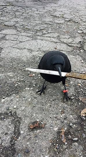Canuck the Crow