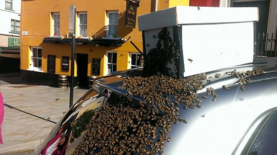 Swarm