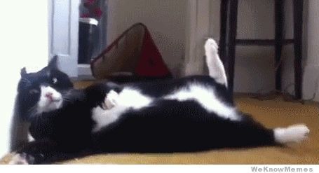 Palm Springs commercial photography