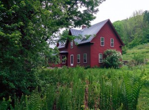 Farm copy