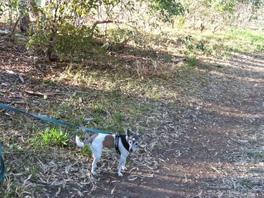 Creek Walk 055