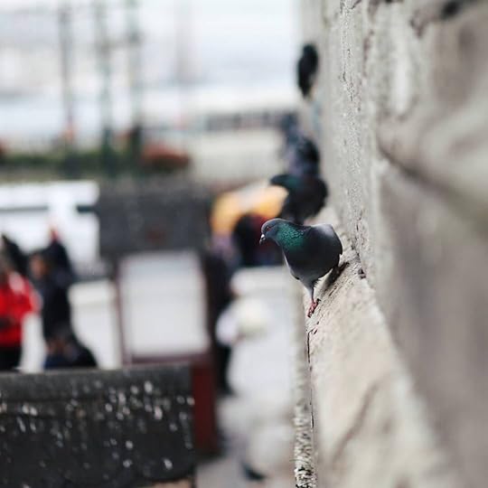 tumblr_o7fnmth52D1tyn3pvo1_1280