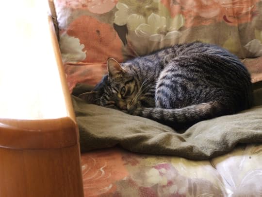 Slim in sunroom chair