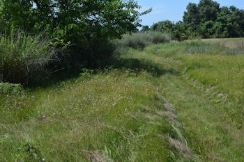 Bowl-low-end-06-16-2016