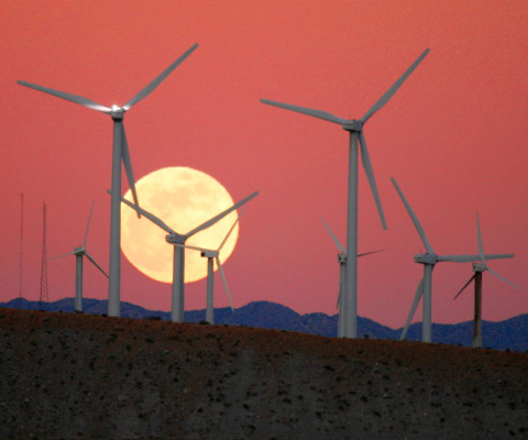 Photo: Feed-in tariffs help renewable energy grow