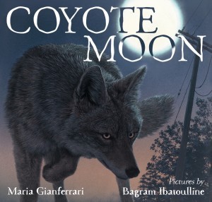 CoyoteMoon1