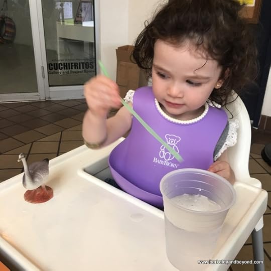 child in highchair at Shopsin's in NYC