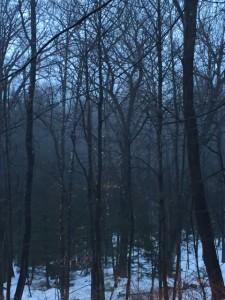 Maine in all its darkness.